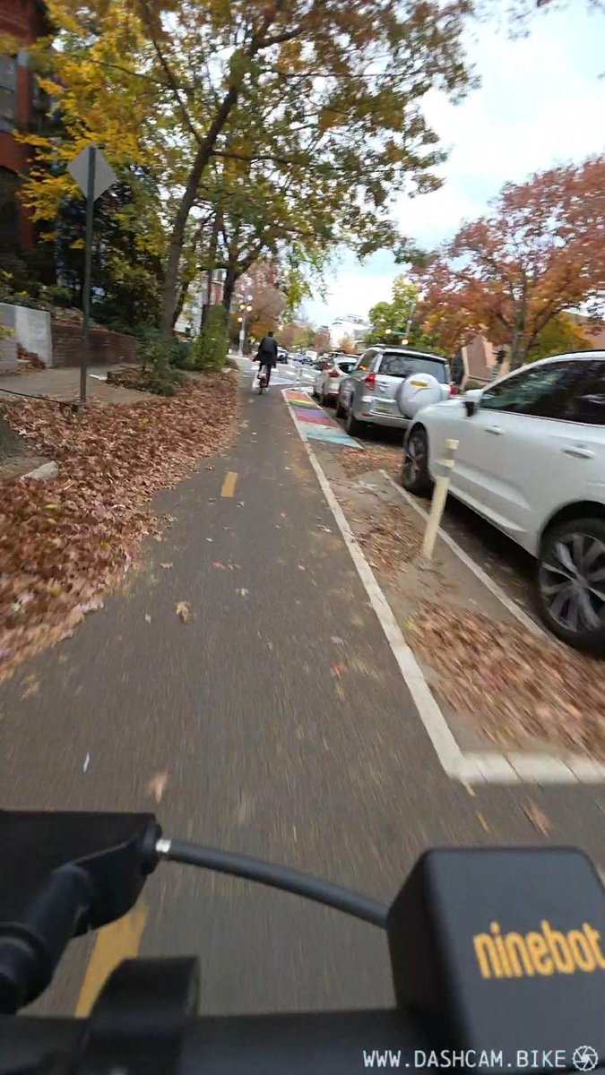 dashcam311 tweet media