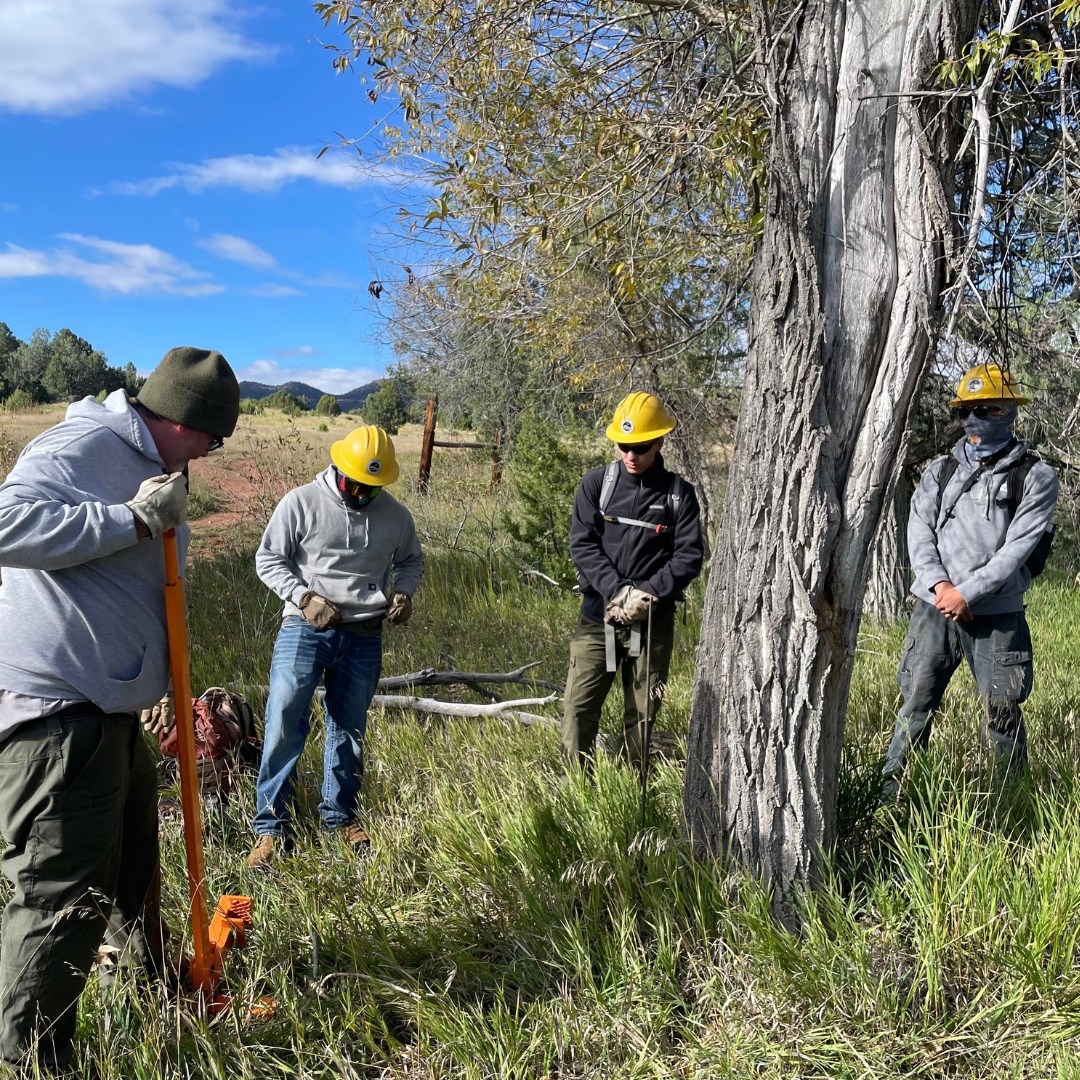 📷 #CorpsPhoto of the Week!

#ArizonaConservationCorps sent a crew to Pecos National Historical Park in New Mexico to remove and replace old fencing and to fix staples on a historic fence.

See more photos from #ConservationCorps at corpsnetwork.org/news/photos-of…

#CorpsWork #NPS