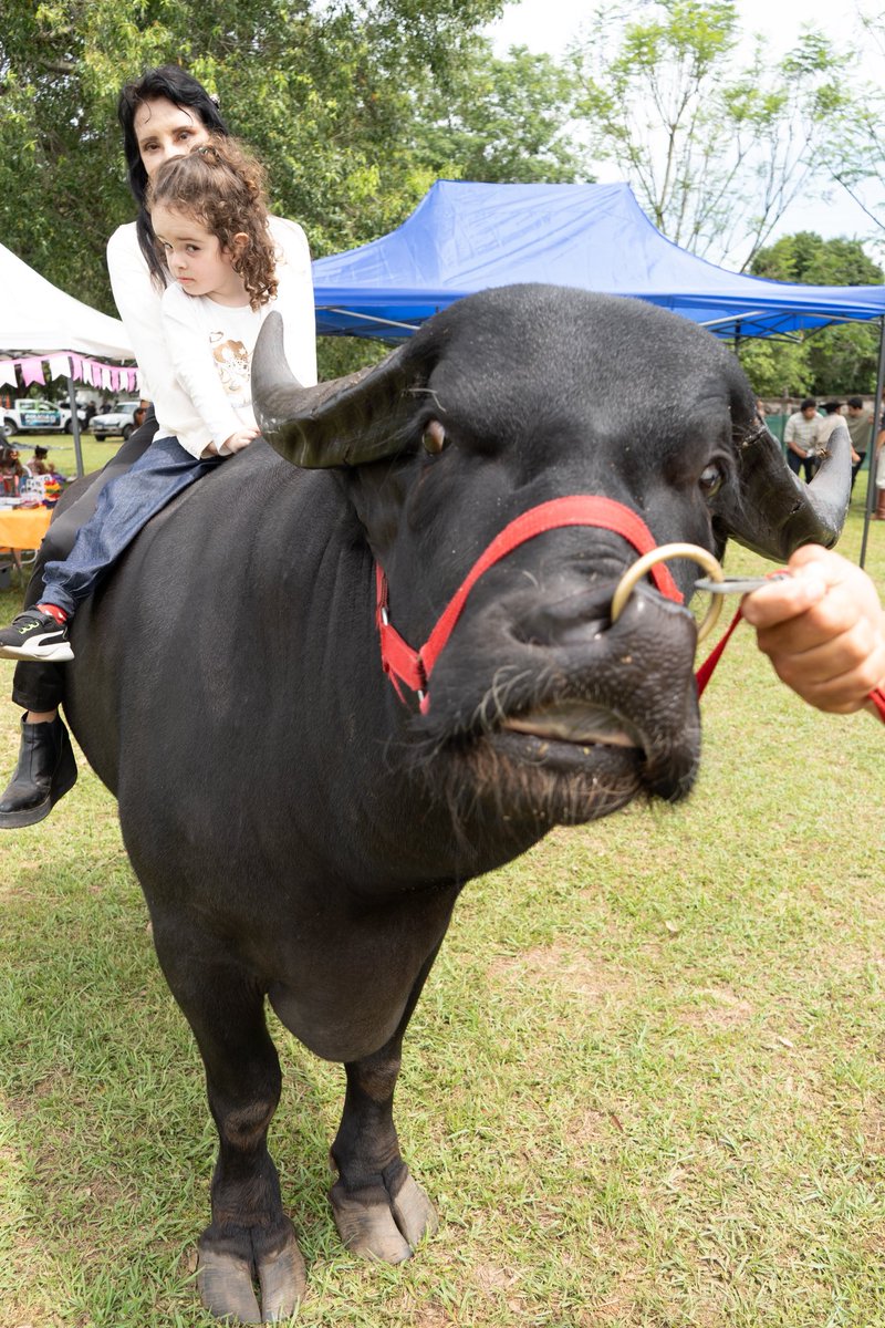 ¿Sabés a dónde fuimos hoy?👉🏼A Caá Catí, a acompañar la Fiesta Provincial del Búfalo 🐃
Un espacio que muestra el valor de nuestra gente y la fuerza de esta industria que sigue creciendo.