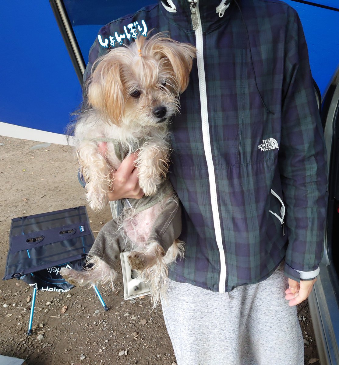 CampWingAndLove's tweet photo. 足を拭いたら、抱っこかおうちか。

#キャンプ #キャンプ犬 #皆も足拭くのかな
#ワイルドにいきたいが #泥だらけも嫌だな https://t.co/AZdiJ3pIdi
