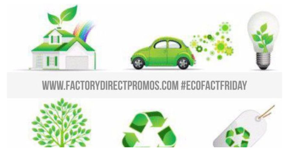 FactoryDPromos's tweet image. Recycling gives materials like plastic a new use and purpose. Make sure to recycle when possible or go reusable! 

#GoReusableNow #EcoFactFriday #Recycle #GoGreen #EcoFriendly #RecyclingTips