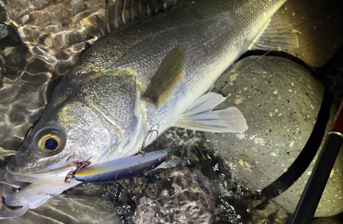 VC (@VcFreeze) / Posts / X