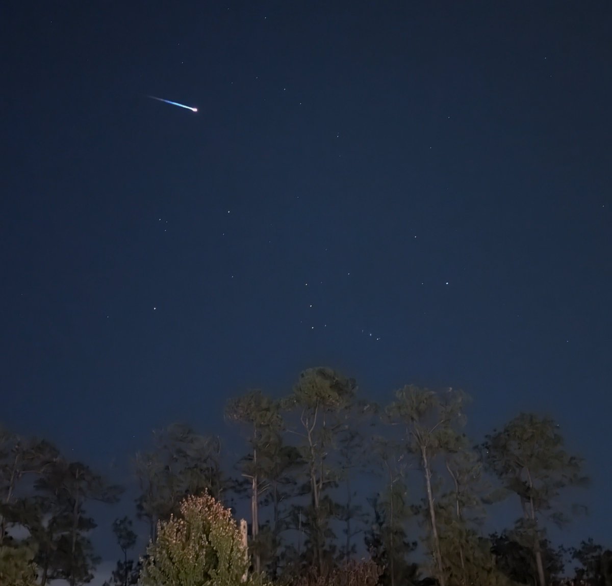 Brooke Edwards tweet media