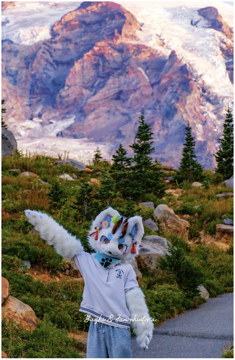 Yuzhi与纸 tweet media