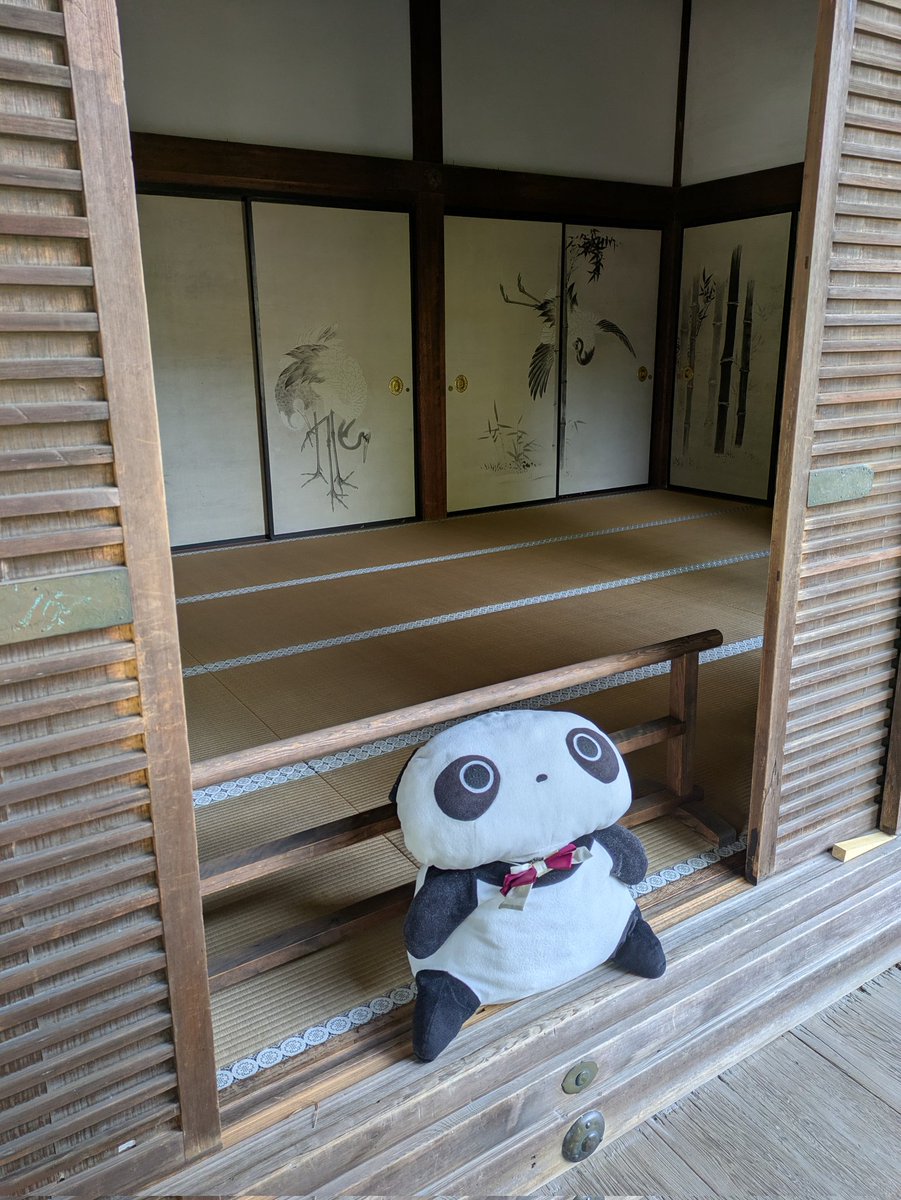 taremom0219's tweet photo. 霊宝館を見たあとは、たれちゃん達と
一緒に大覚寺巡りです。
ひなたれボッコをしたり、お庭を見たり
お外でまったりしたり…
人が少ないのをいいことにやりたい放題でした
まだまだ大覚寺とたれちゃんずは続きます
#たれぱんだ
#今日もよくたれています
#大覚寺 https://t.co/tAX5cN0FKr