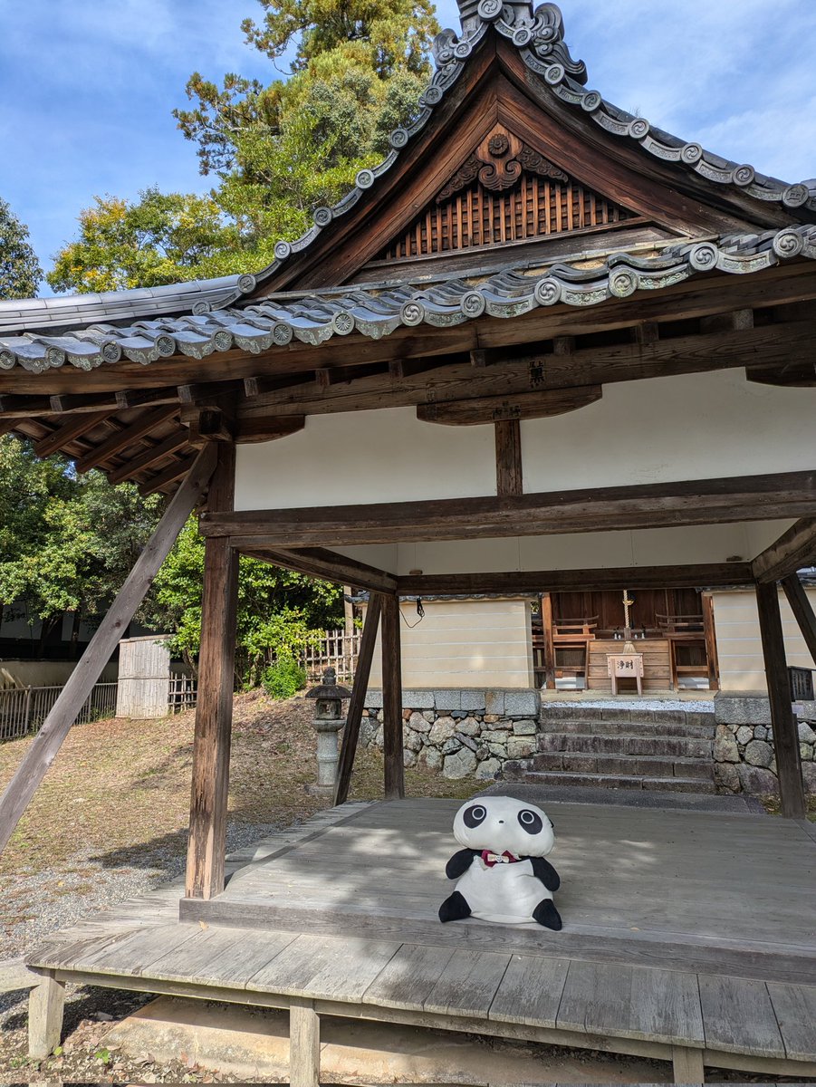 taremom0219's tweet photo. 霊宝館を見たあとは、たれちゃん達と
一緒に大覚寺巡りです。
ひなたれボッコをしたり、お庭を見たり
お外でまったりしたり…
人が少ないのをいいことにやりたい放題でした
まだまだ大覚寺とたれちゃんずは続きます
#たれぱんだ
#今日もよくたれています
#大覚寺 https://t.co/tAX5cN0FKr