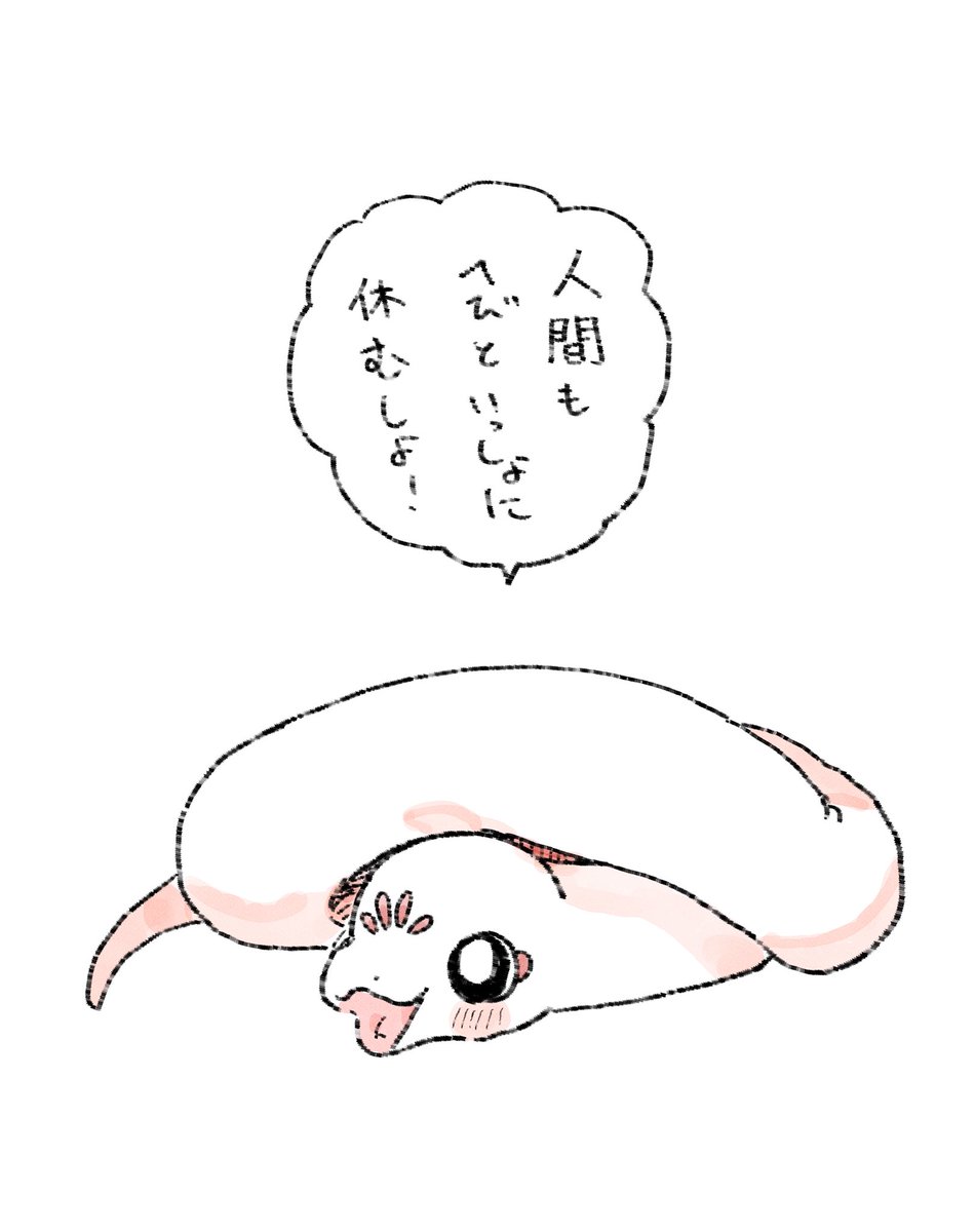 ⭐︎ちくわ⭐︎ 二代目ちくわ〜Chikuwa (@2nd_chikuwa) / Posts / X