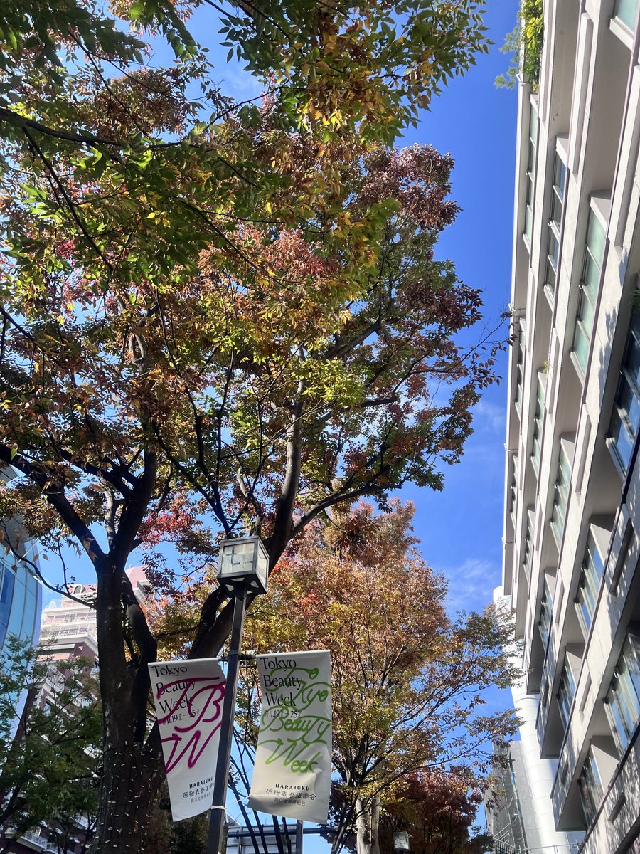 MgQDVtCtGEOlZ2i's tweet image. 4ヶ月ぶりの並びはハズレ！！さぁ〜て飲みます🍻
#goros #ゴローズ #原宿