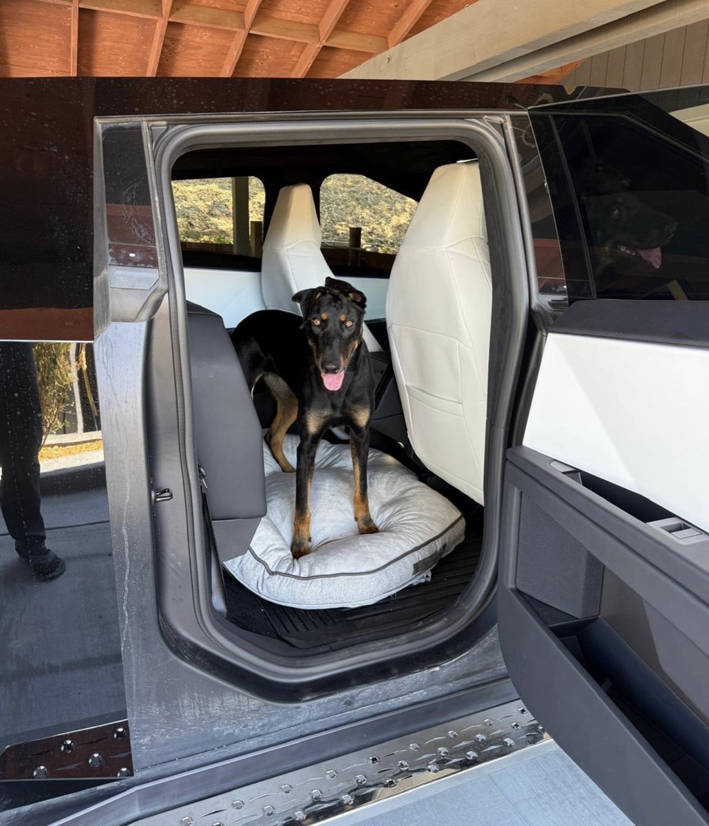 Investanswers's tweet image. Why I do not fly anymore... 
I drive