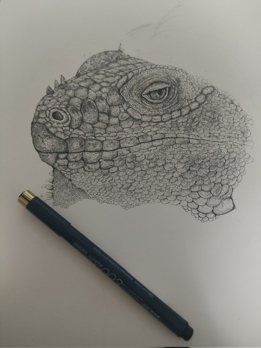 ひいらぎ−ペン画 (@helmmira330) / Posts / X