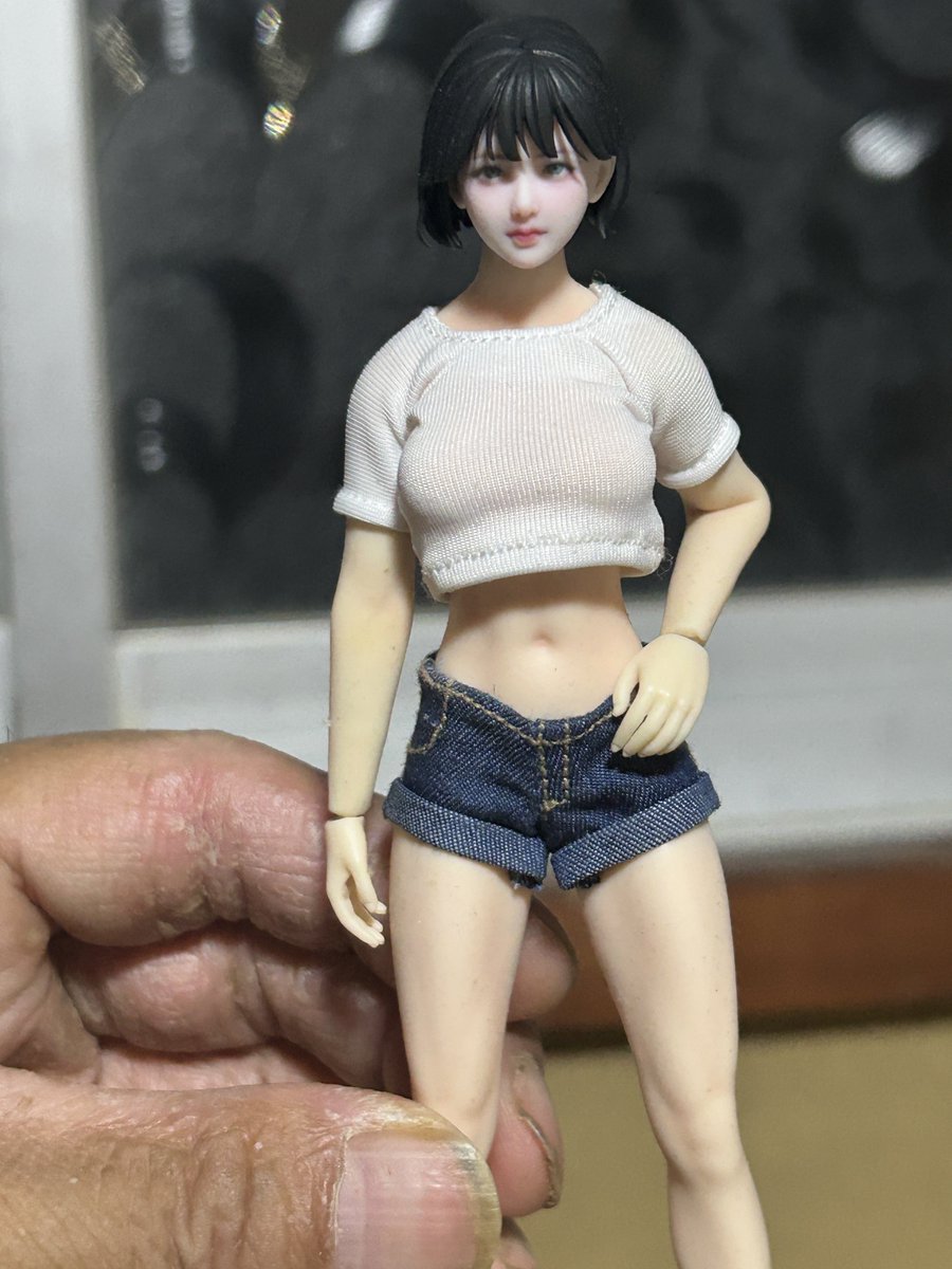 美少女フィギュア12点 Amazon | X-TOYS 1/6 フィギュア 美少女 アニメ ヘッド 洋服 セット