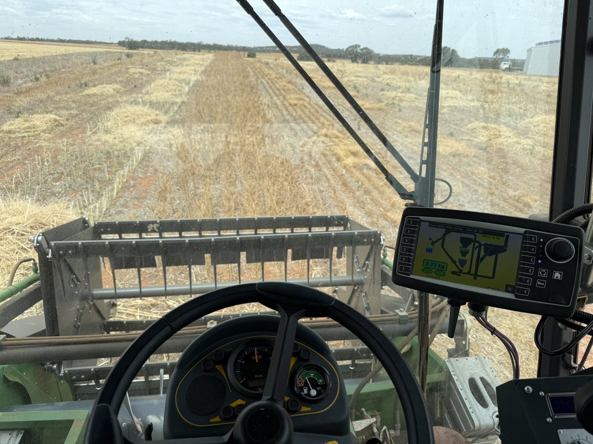 agrobaz's tweet image. Harvesting one of the last dryland trials 2025. Herbicide residues x crop types with @GRDCNorth Big lesson for me here was how quickly some herbicides leach through the profile, eg terbyne to 15-20cm on 1 rain. Big implications for some crops for safety.
