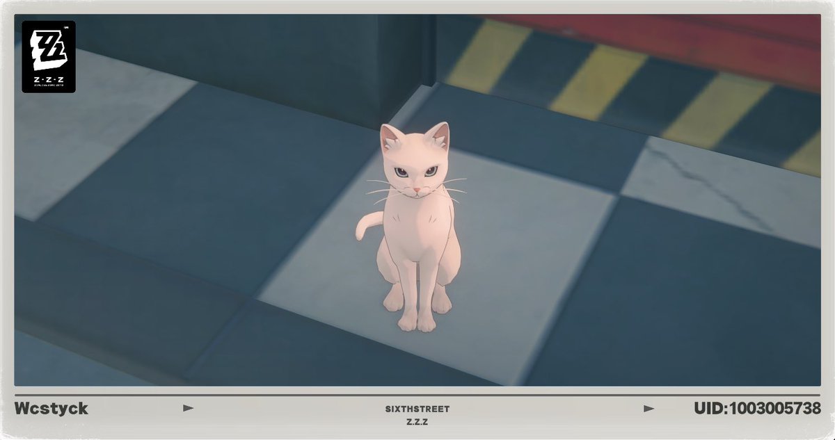 wcstyckYT's tweet image. Cat