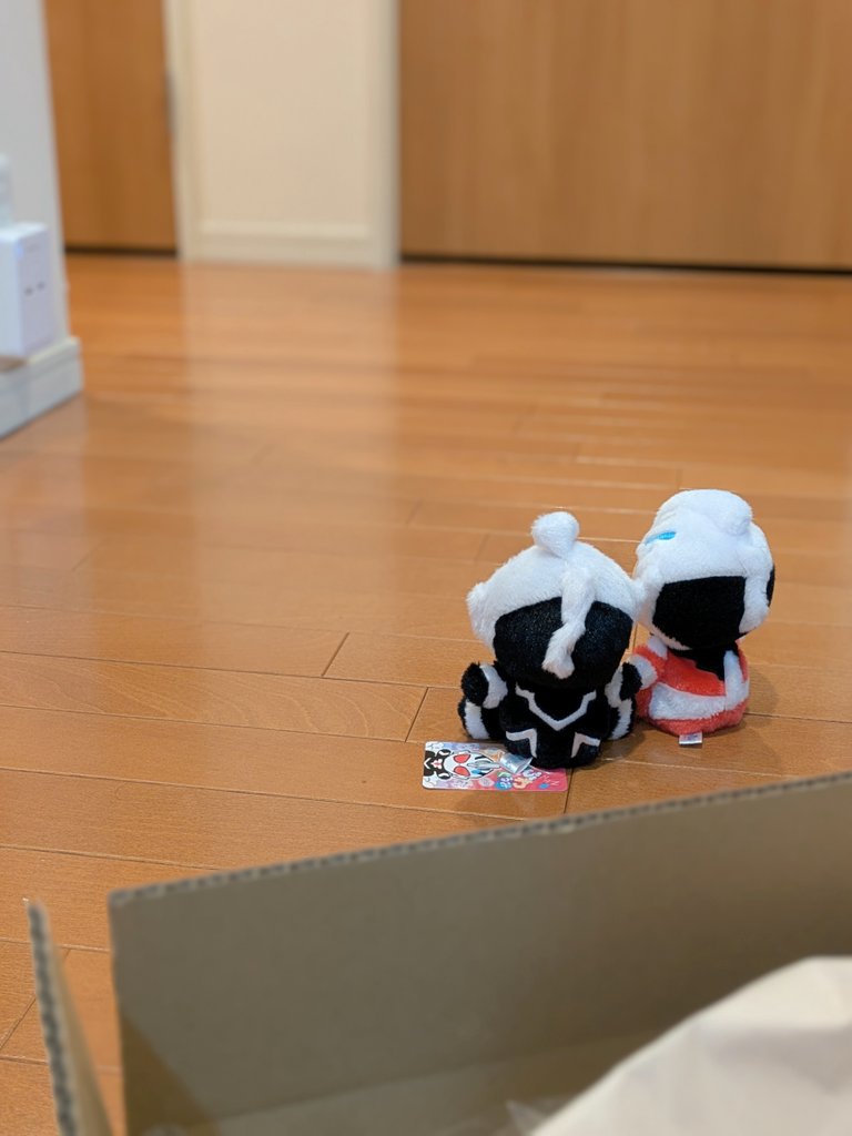 きょうから ここがおうちだよ