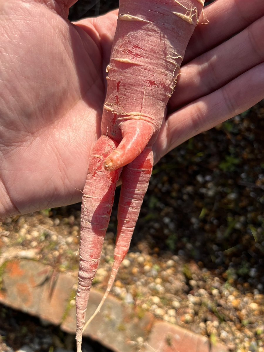 むらい (@murai_319) on Twitter photo 