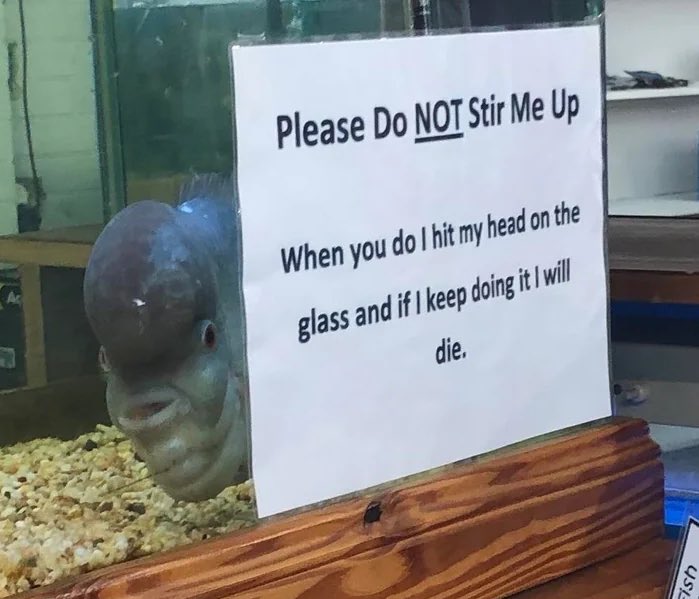 alaskastardust's tweet image. when my wife starts tickling me right before bedtime