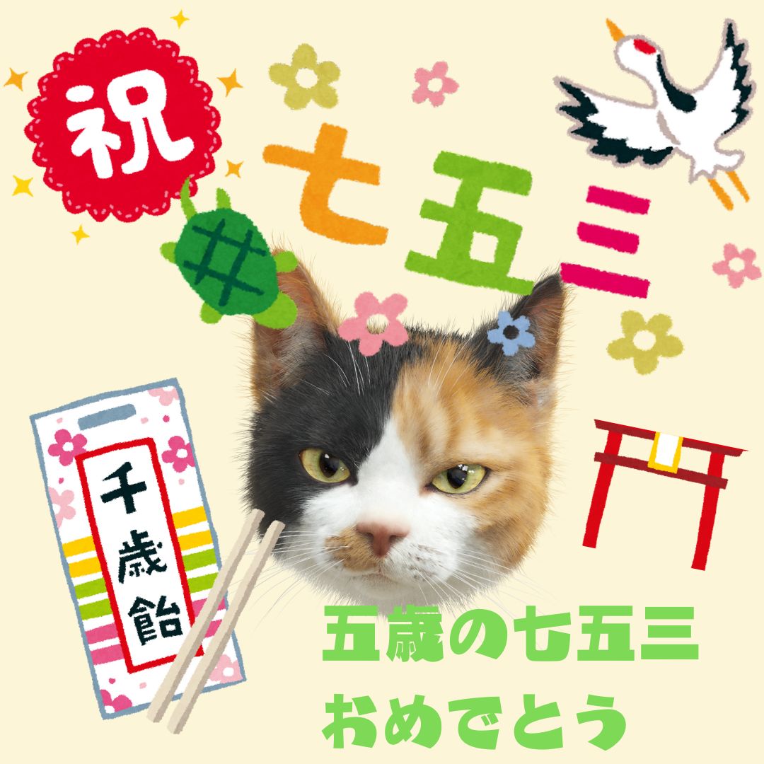 クロス新宿ビジョン tweet media