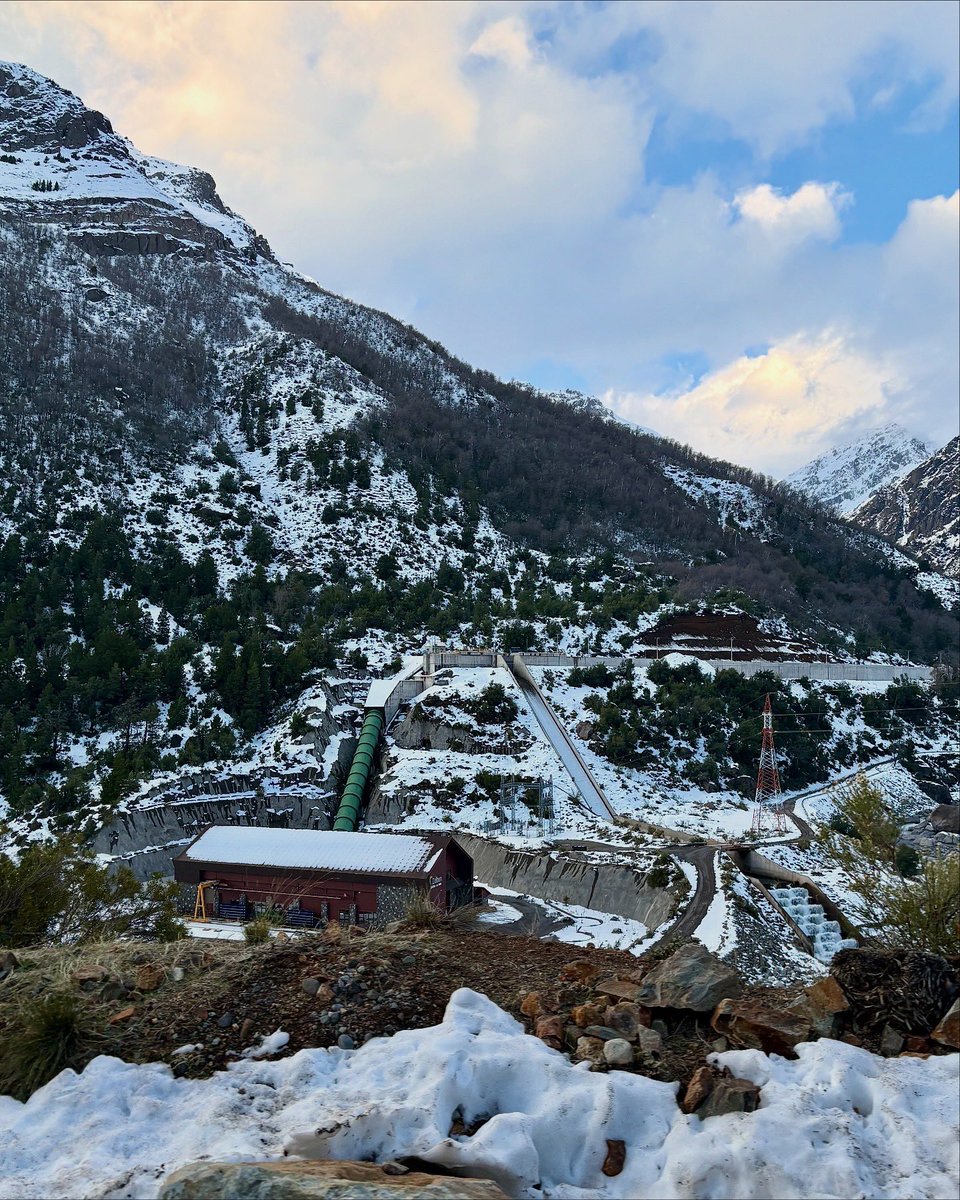 Pedro A. Garcia Infante tweet media