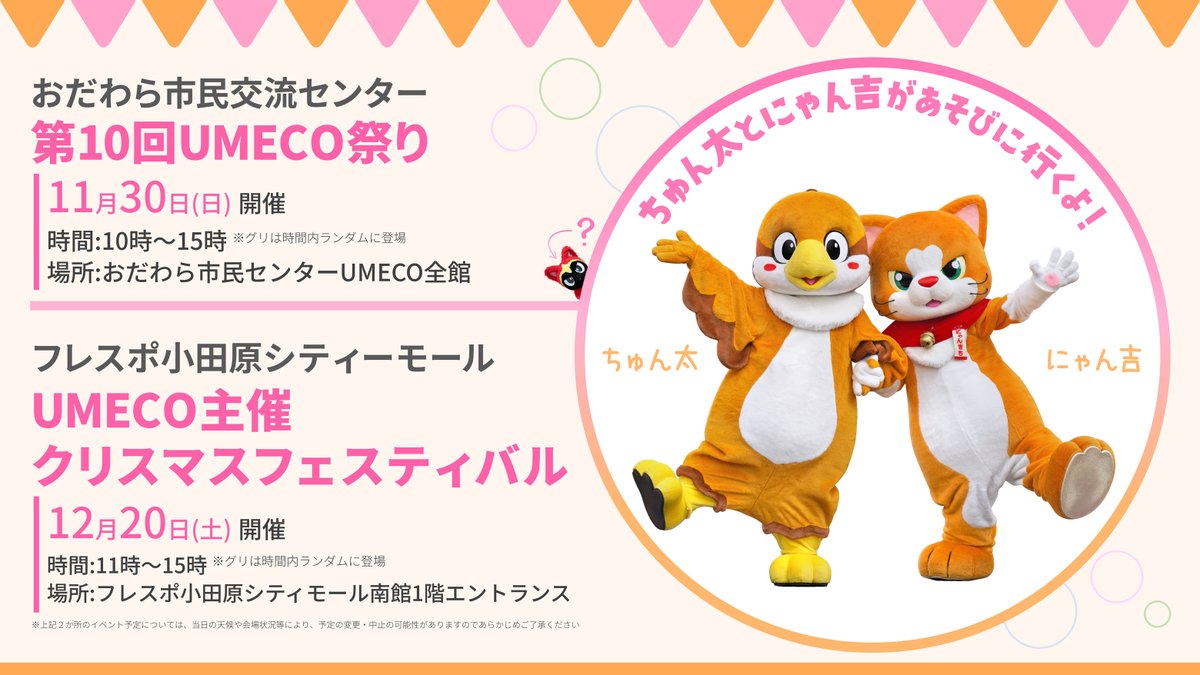 にゃん吉【公式】Nyankichi (@cat_nyankichi) / Posts / X