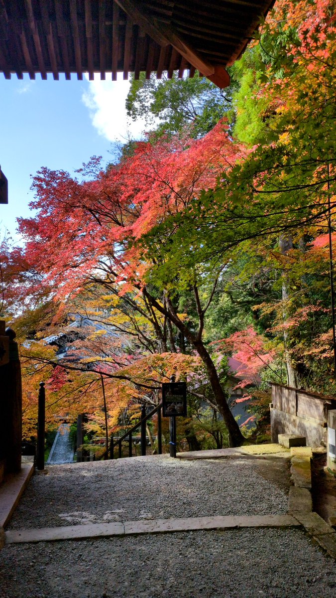 播州清水寺。
紅葉が綺麗ですね！