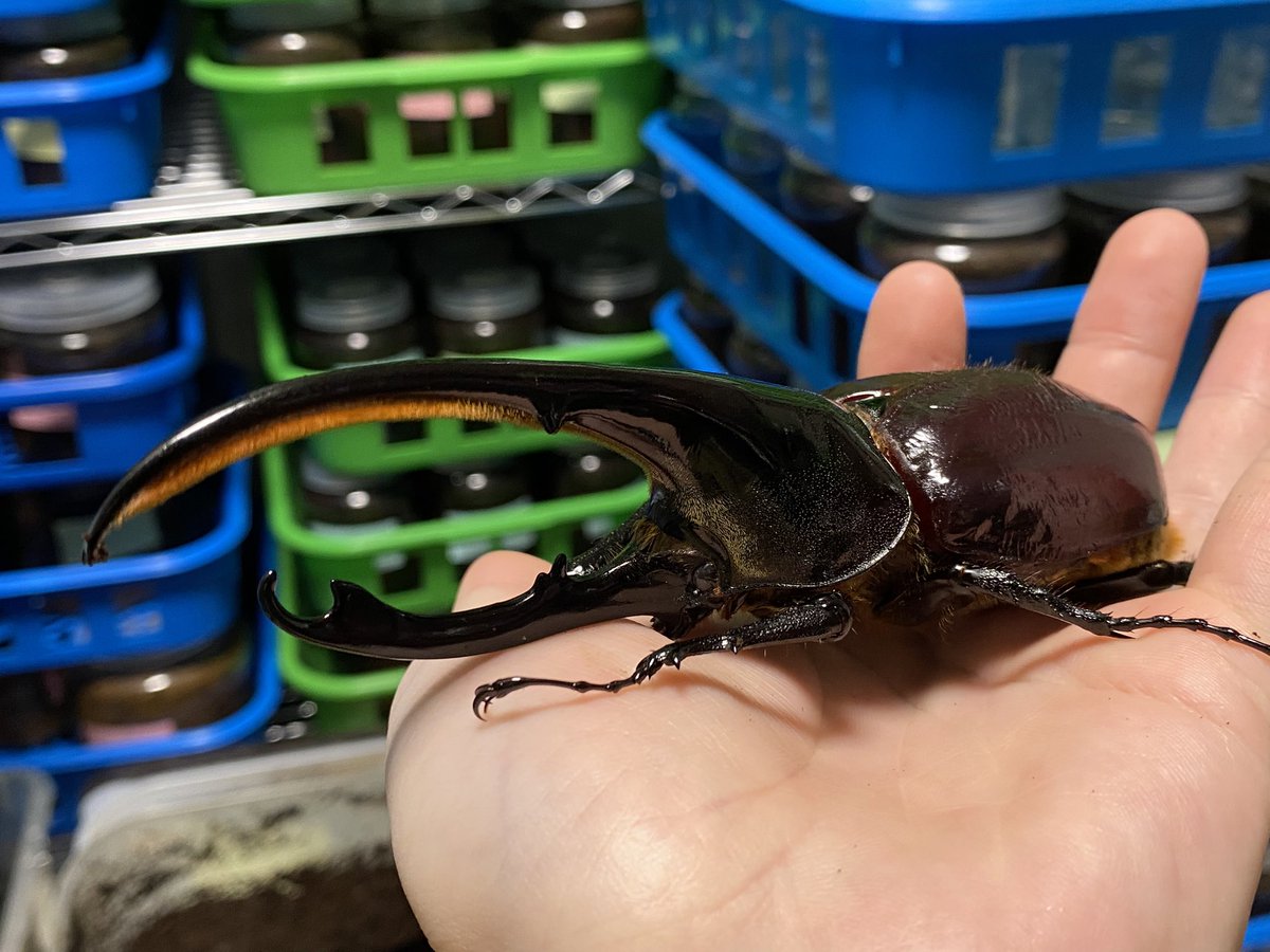 ささき (@sasaki_628212) / Posts / X