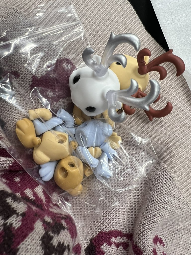 プランサーはこれから作るね👀

#レザフェス