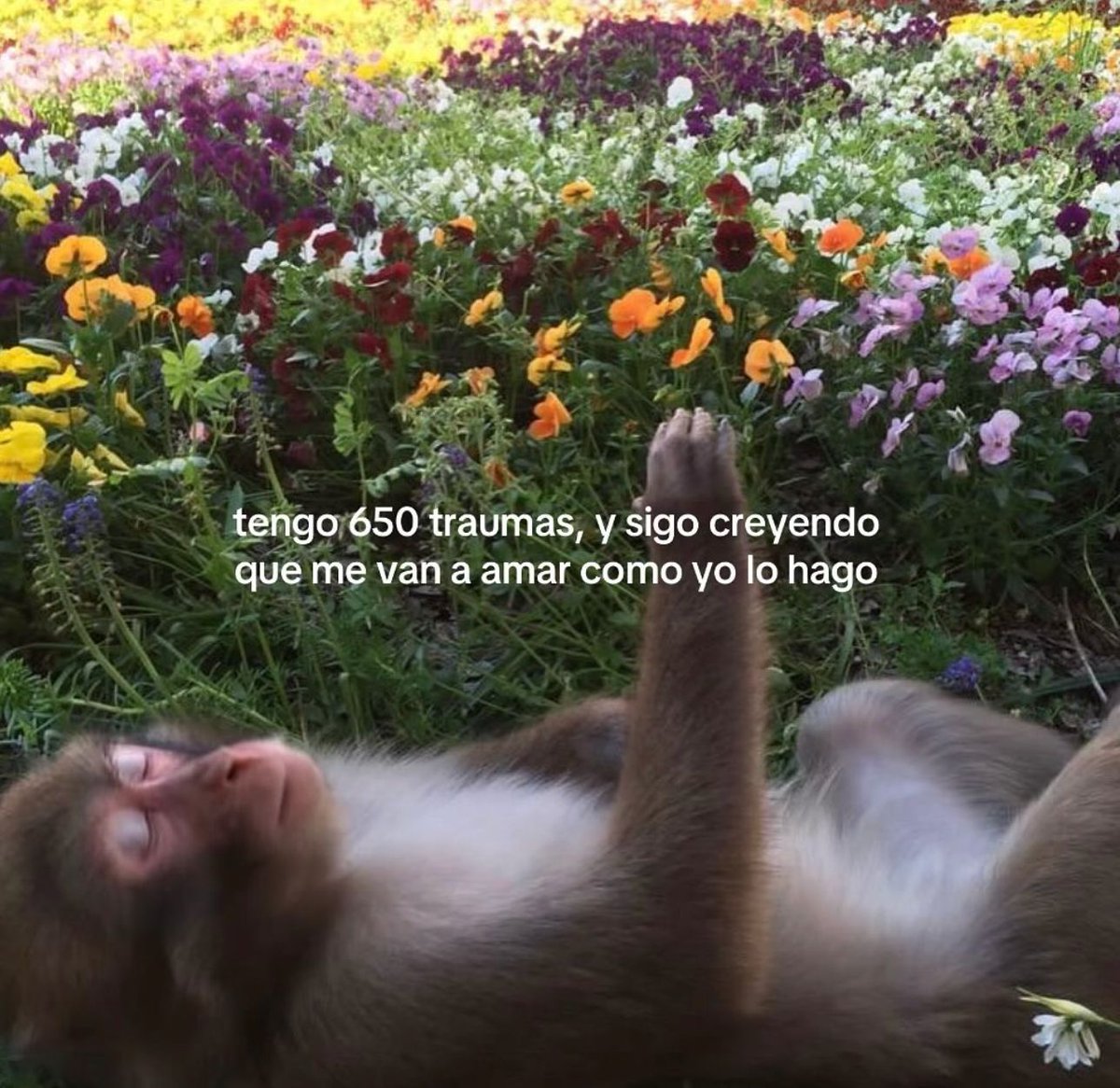 vibes (@vibesfyp) on Twitter photo 