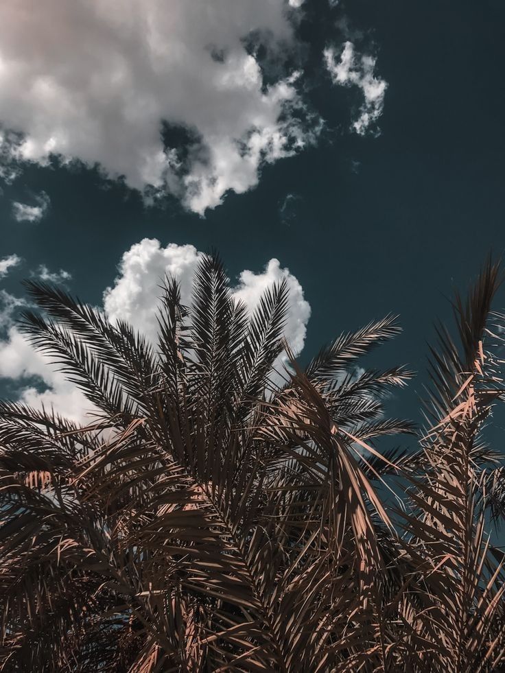 rashid55p's tweet image. 