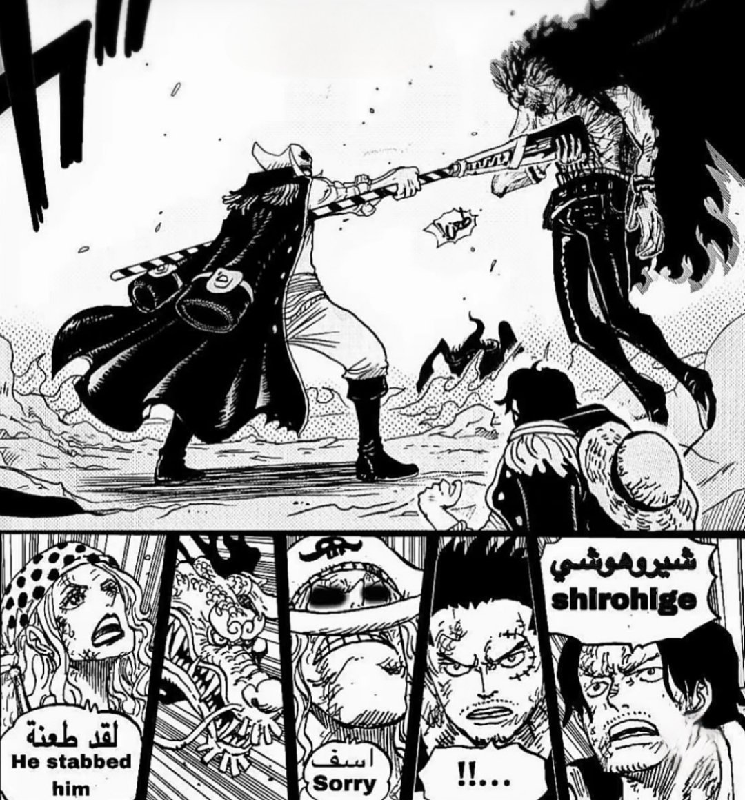 ONE PIECE CHAPTER 1166