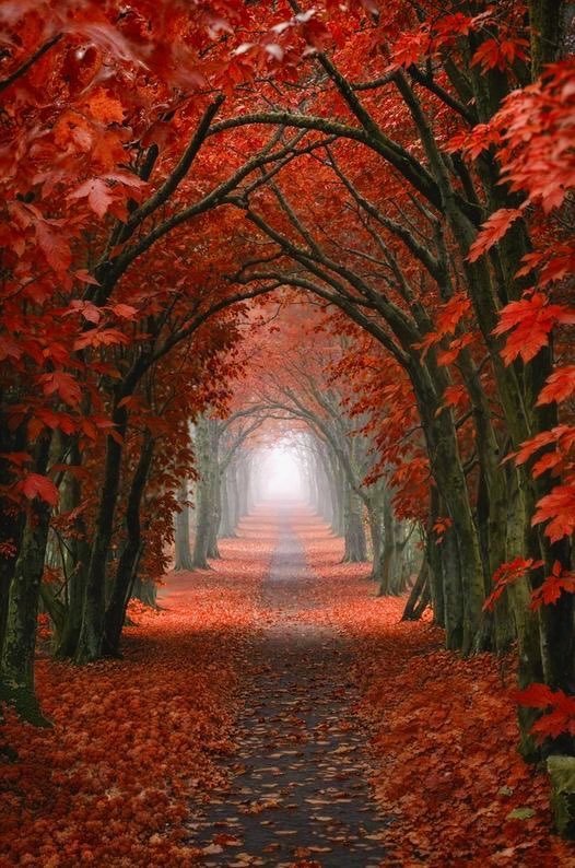 Earth Glory (@earthglory56) on Twitter photo 