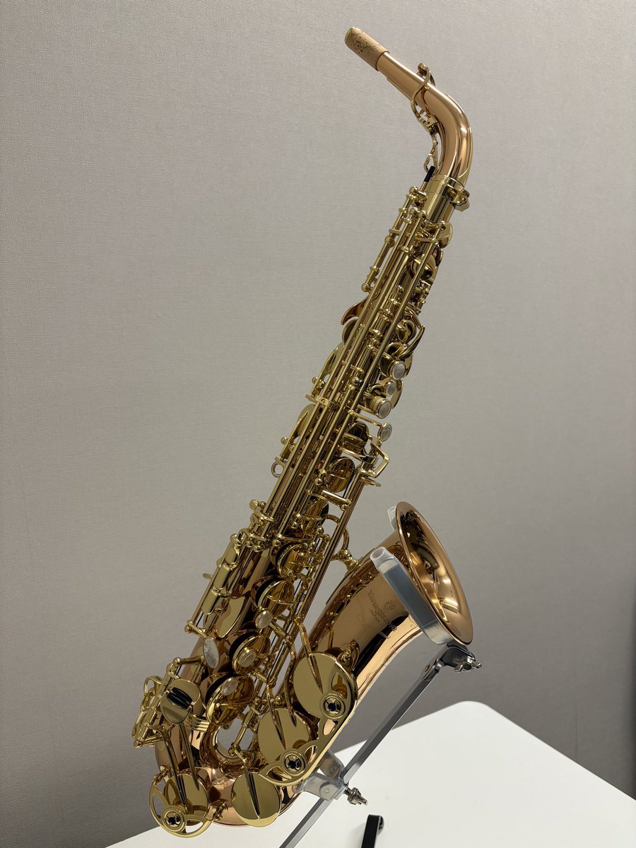 黄金裔シリーズ アナイクス 20個セット 71Mizz0ImUL._AC_UF350,