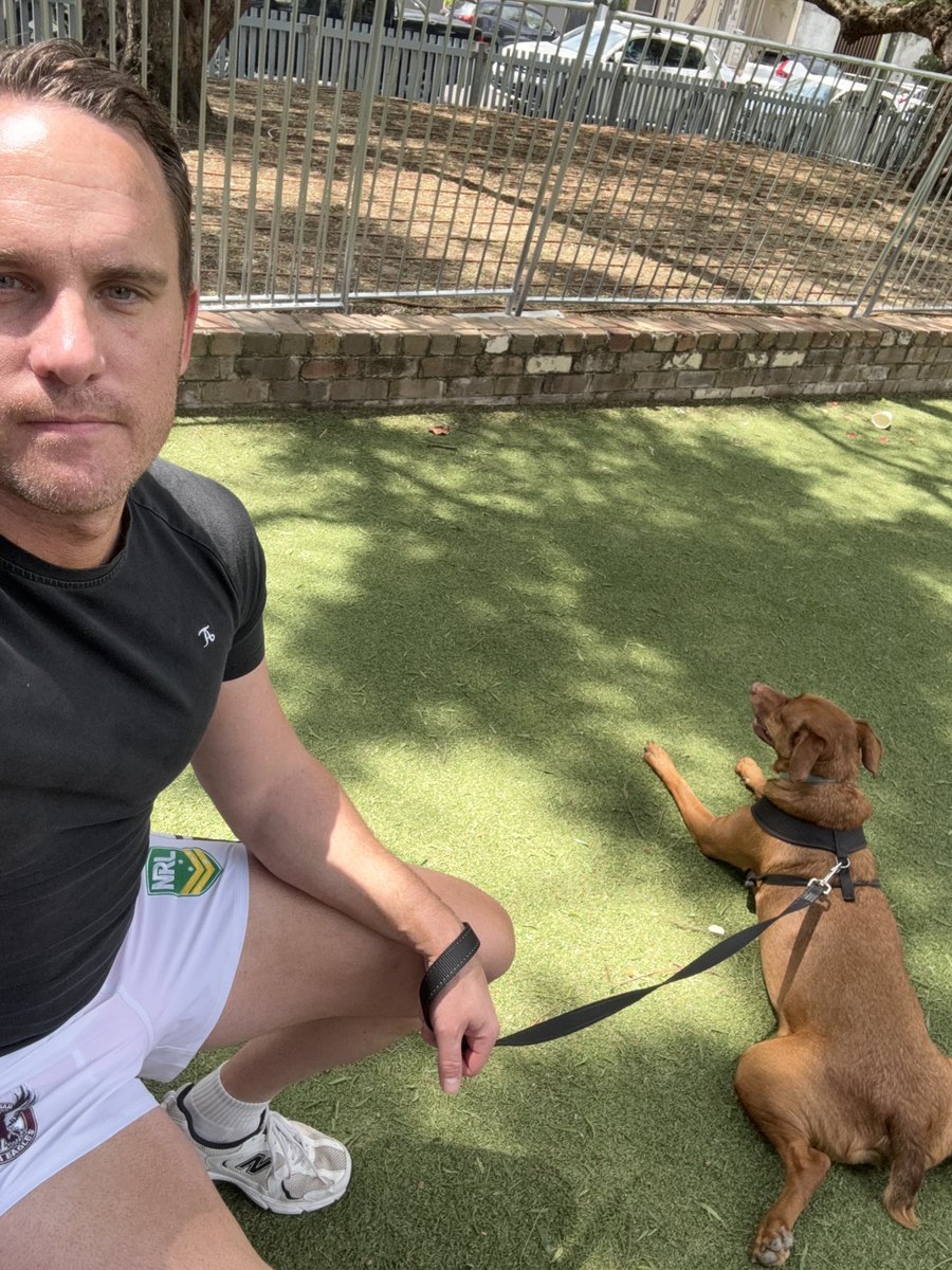 DrNicolasHart's tweet photo. Happy to be home with Baxter - he was extremely excited when I returned (as was I). Also glad to no longer carry the life sized plush doggo toy around the Airport (…Excuse the pharmacy of headache medication in the video - I’m a migraine sufferer! …). #Baxter #DogsOfAcademia. https://t.co/RfGMAJXqy8