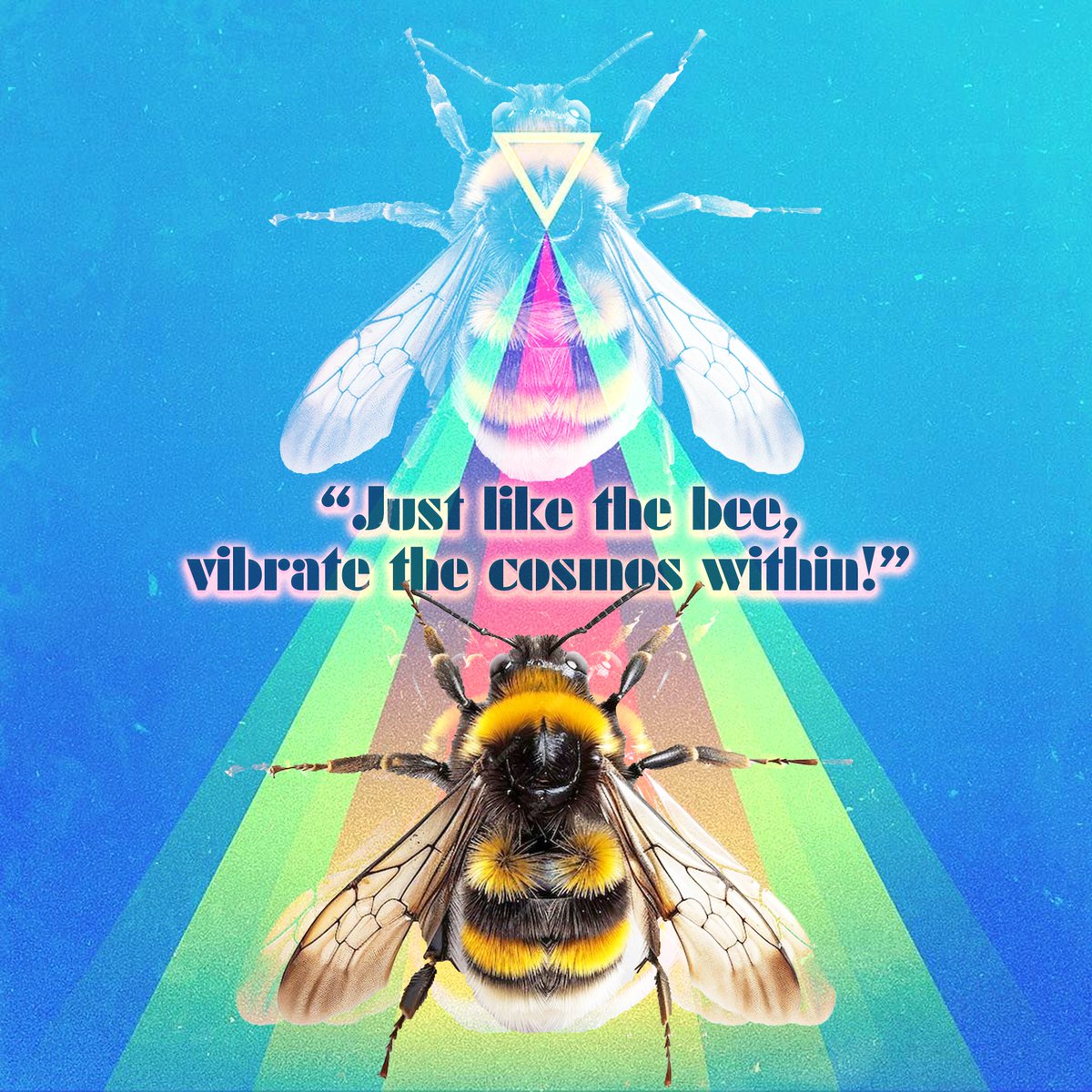 TheCosmicMssngr's tweet image. &quot;Just like the bee, vibrate the cosmos within!&quot;

Sacred Website: linktr.ee/thecosmicmesse… (now with an integrated booking site)

#bee #bees #vibrate #within #cosmos #frequency #vibrations #sound #sacredgeometry #multidimensional #quantum #soul #nature