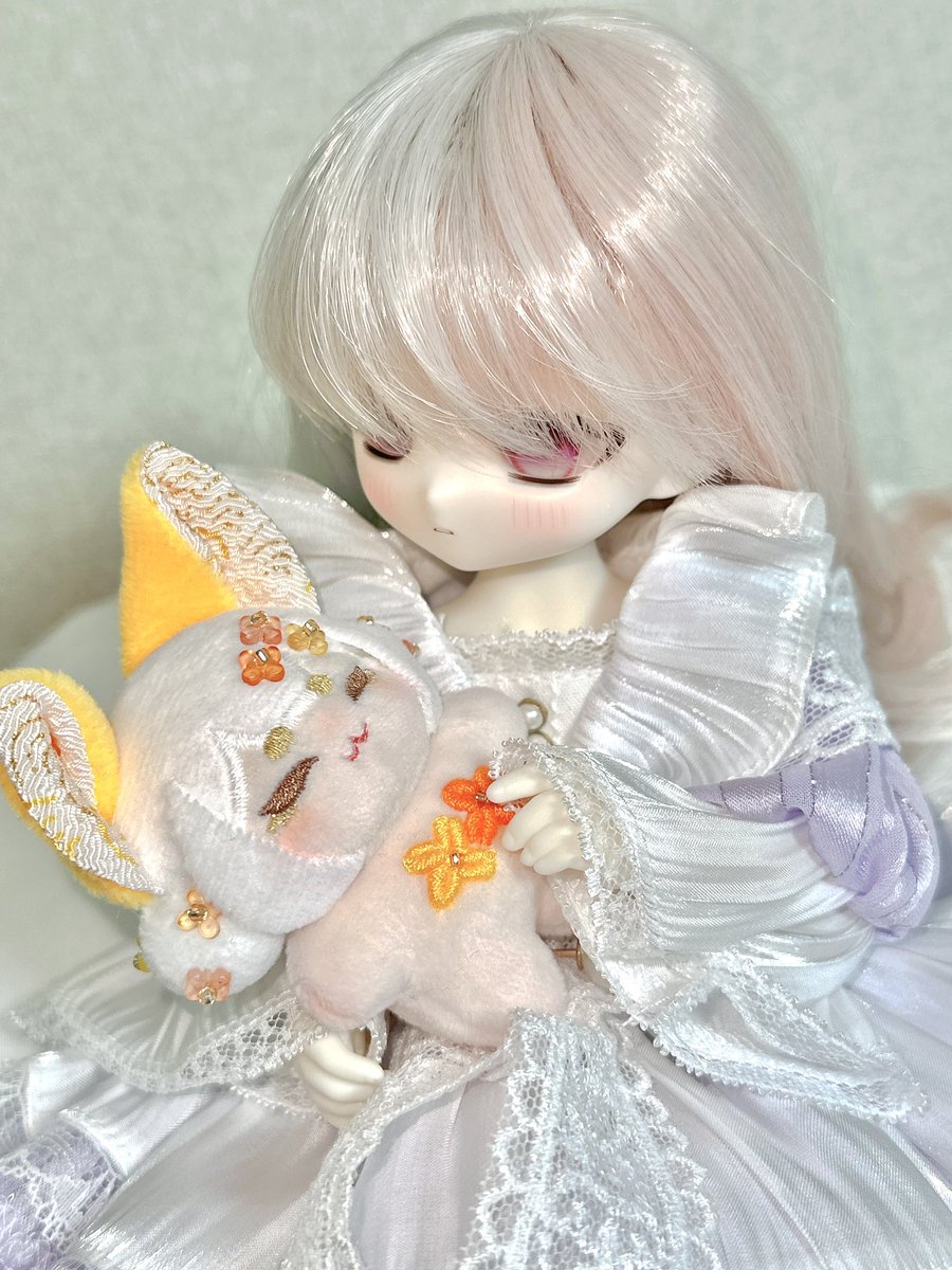 そういえば…… アイちゃんはDOLKさんからお迎えした子なのでウチに来て