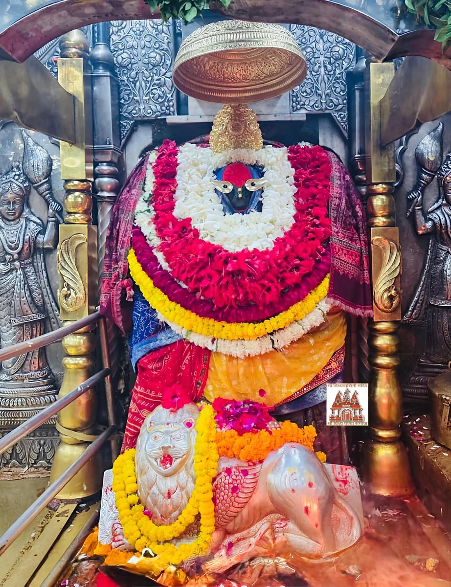 जय माँ विन्ध्यवासिनी 
आज 15-11-2025 शनिवार, एकादशी तिथि को माता का प्रातःकालीन मंगला आरती दर्शन