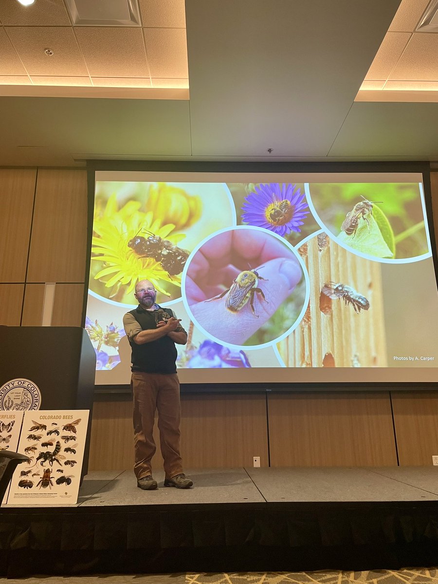 MrsWegert's tweet photo. The CO #Pollinator Summit was truly inspiring — passionate experts, meaningful conversations, and a shared commitment to pollinator health. Leaving motivated to bring strong, science-based content to my students. 🌸🐝 #coloradopollinatornetwork #biodiversity #regenerativeag https://t.co/GzN5B6Rwgy