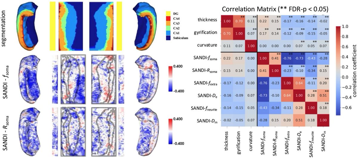 Hong-Hsi Lee tweet media