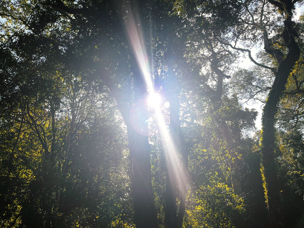 ghost . . (@sulky80715248) on Twitter photo 