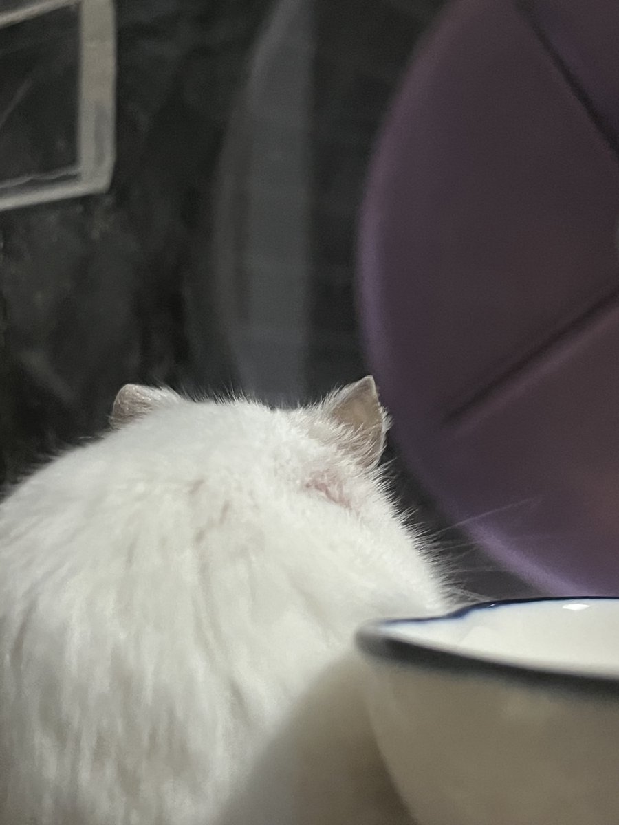 오늘 하루 행운이 꼭 필요한 당신 
[두치야 사랑해]를 외치면 원하는 소원이 이루어 집니다.