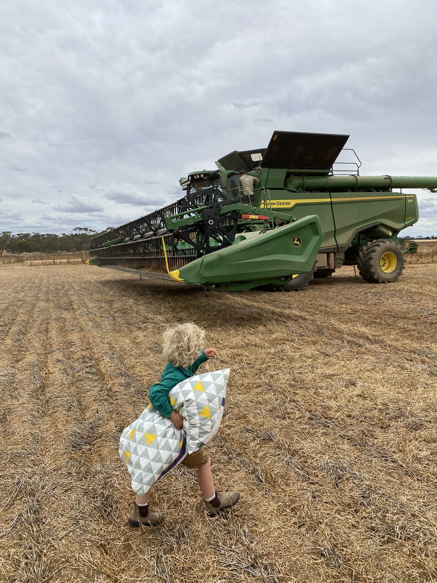 BYO pillow to work day today