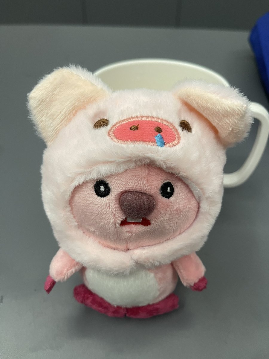 coldjou's tweet photo. my cutiepatootieee https://t.co/DaYvVObcdo
