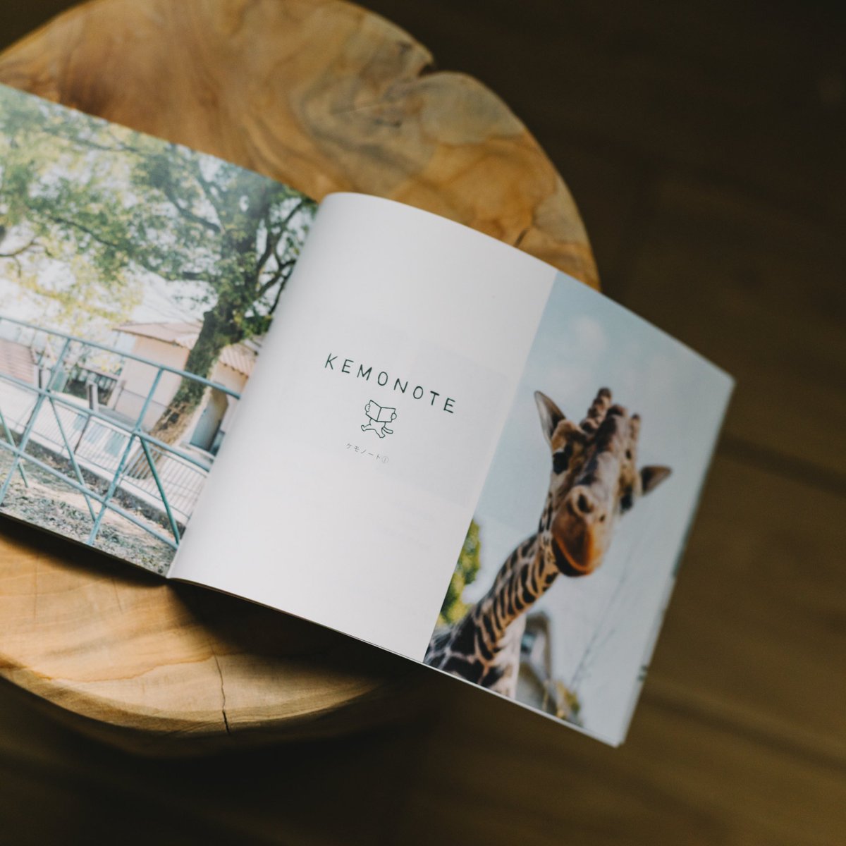 ももと様の専用ページ いよいよ発売スタート！ 発売記念限定セット（ポストカードと