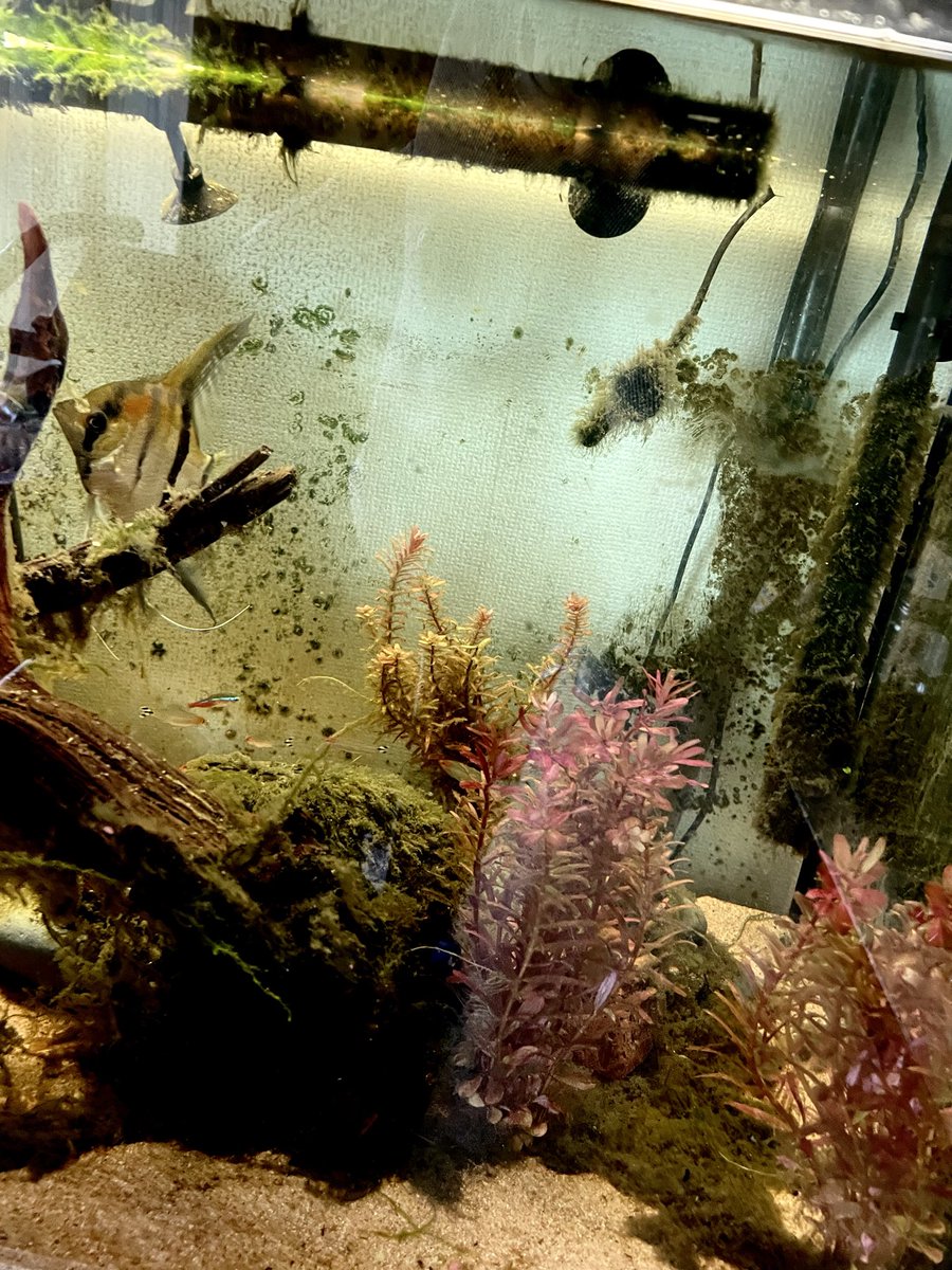 どん底太郎ch (@yc_fyq) / Posts / X