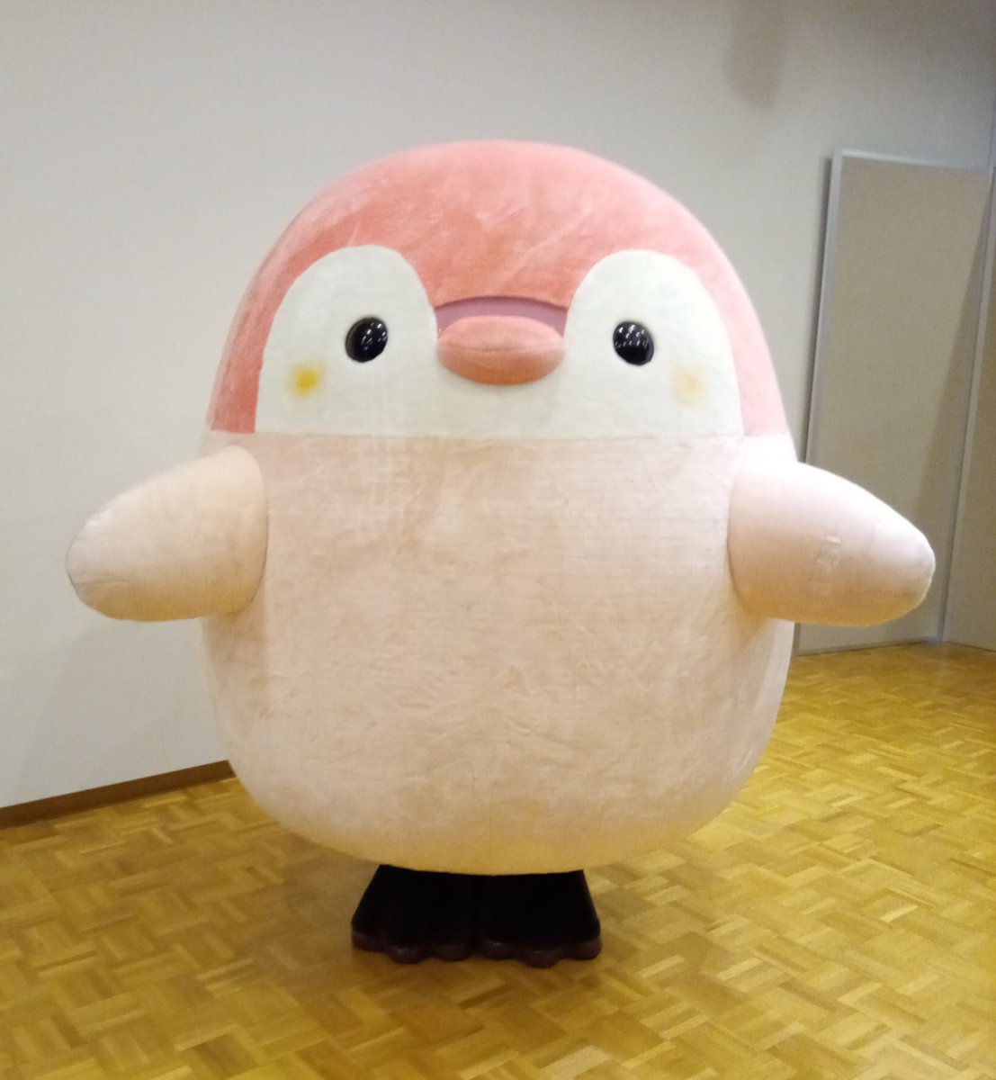 イベントのお知らせ】 な、なんと！ 今日（11/15）の13時30分に