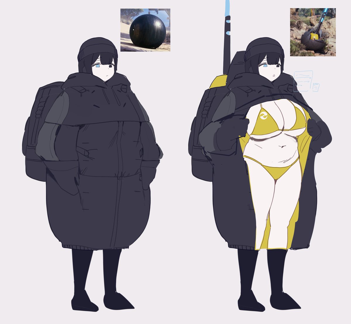 Surveyor
