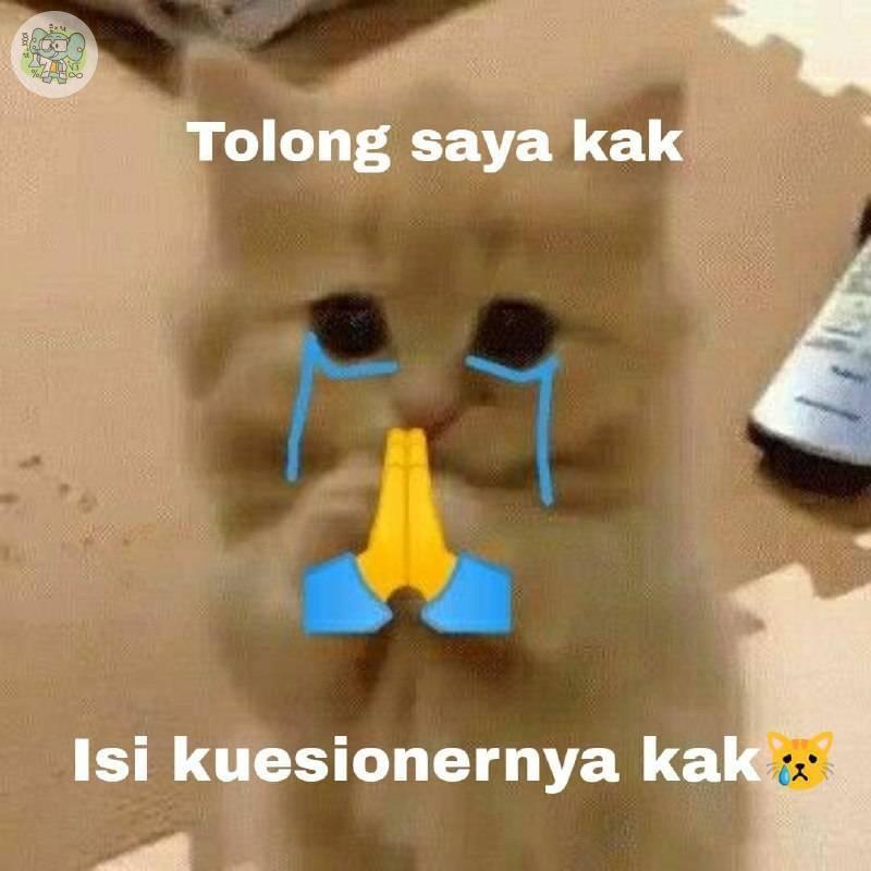 Schoolfess tweet media