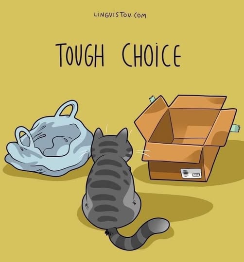 Toastiewiththe's tweet image. Dave Hoover FB #humor #cats
😹🐾 Decisions Decisions!
#decisions