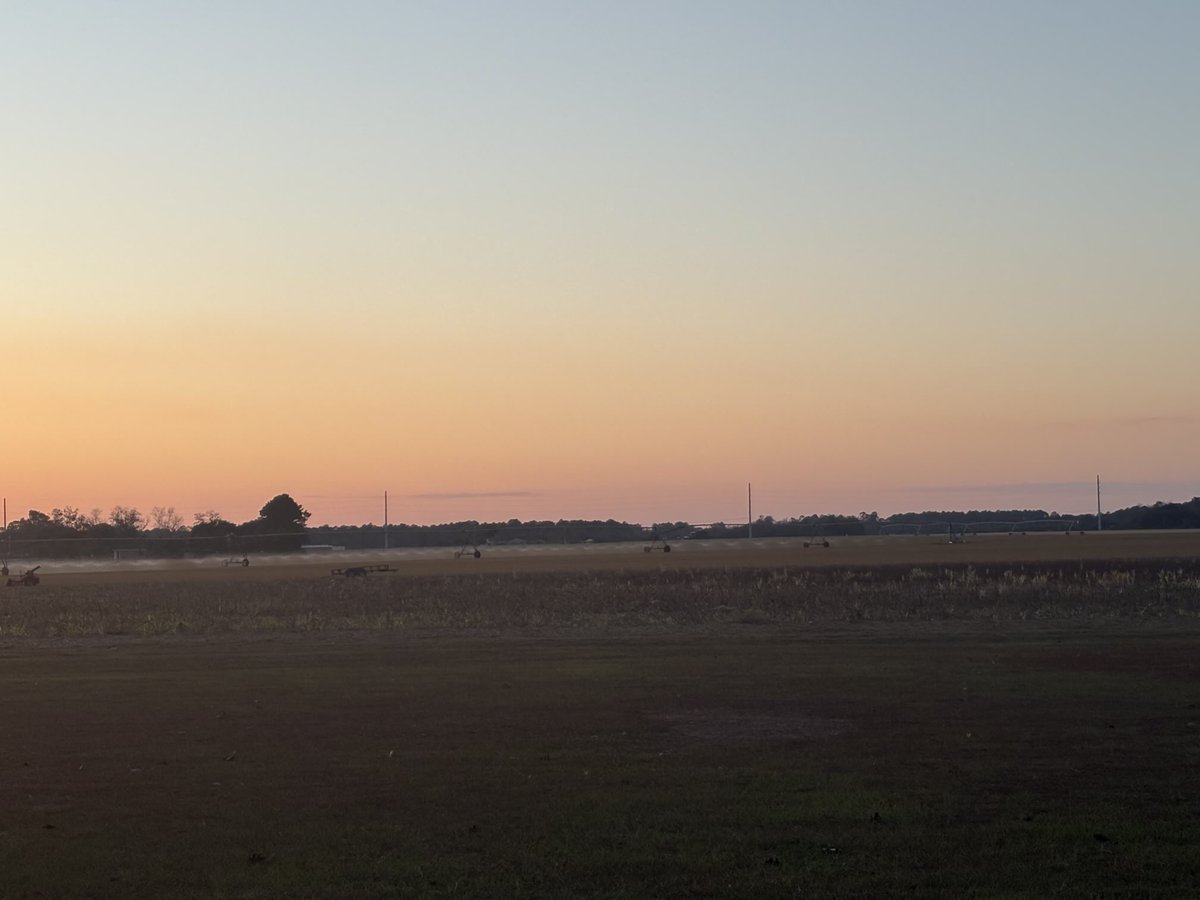 Herman Bloch tweet media