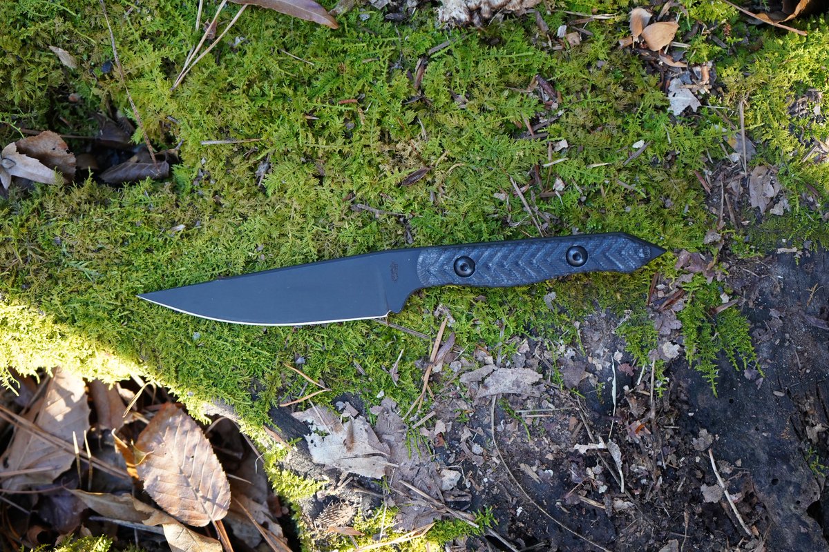 Tyrant Design tweet media