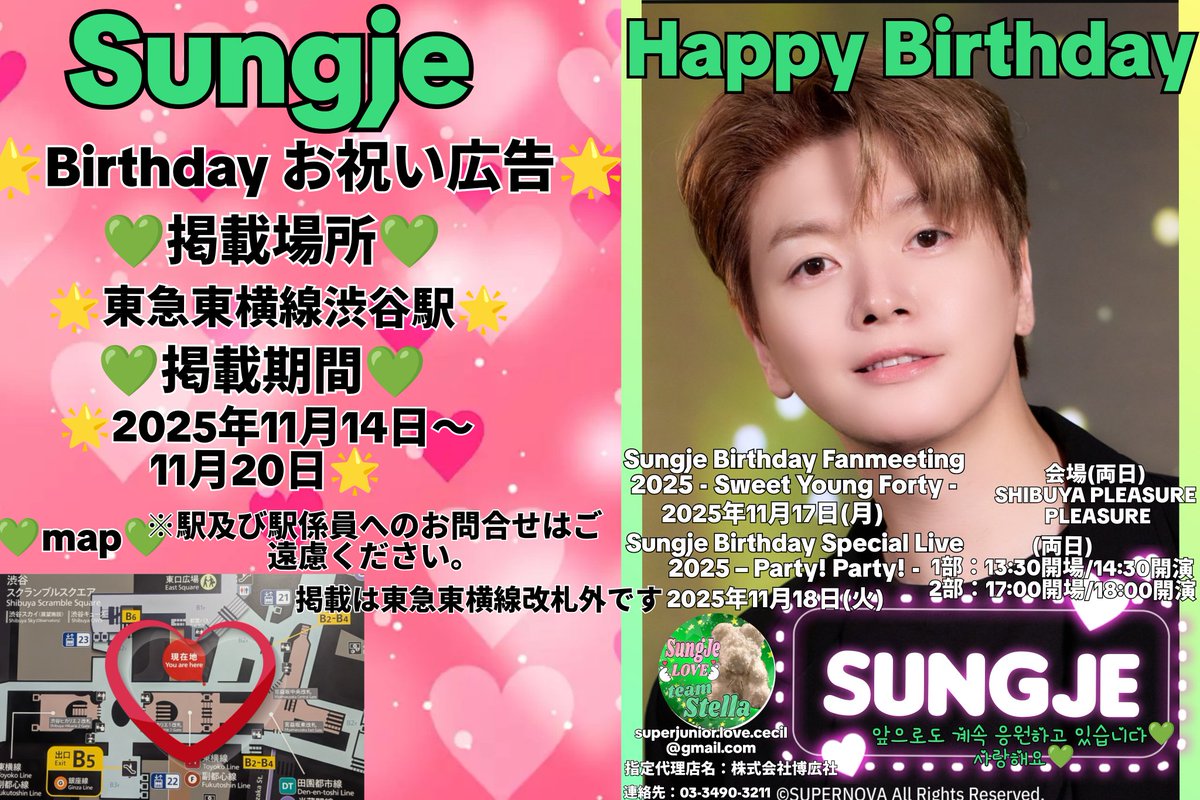 The Birthday COME TOGETHER 告知ポスターB2サイズ The Birthday新